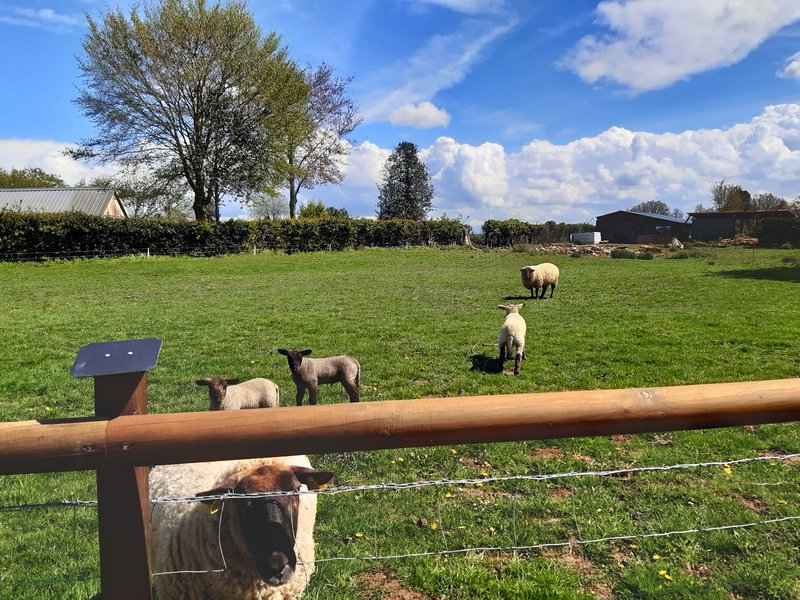 Domaine AbracadaRoom : L'insolit Ô Verger - Image 3