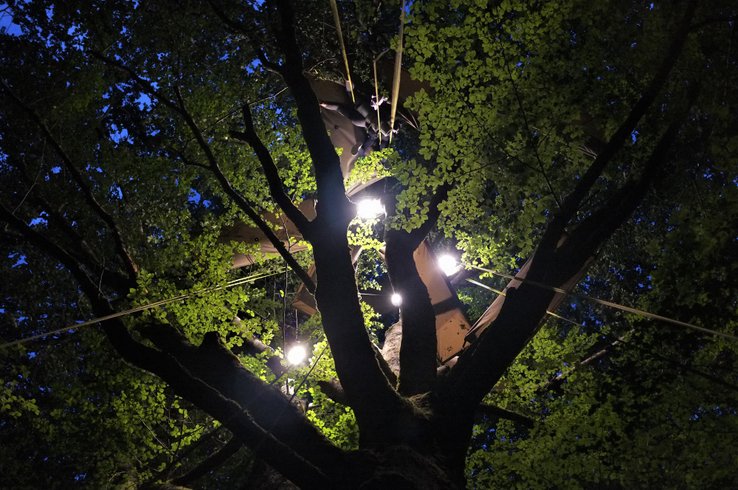 Hébergement AbracadaRoom : Nuit perchée en hamac n°2 - Image 5