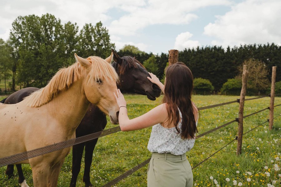Hébergement AbracadaRoom : Parcel Tiny House- avec les chevaux dans le Perche - Image 12