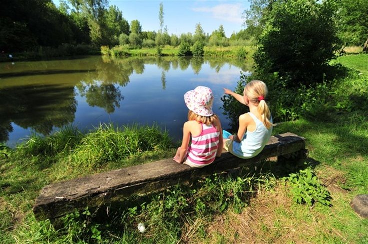 Domaine AbracadaRoom : Le Clos Cacheleux - Image 2