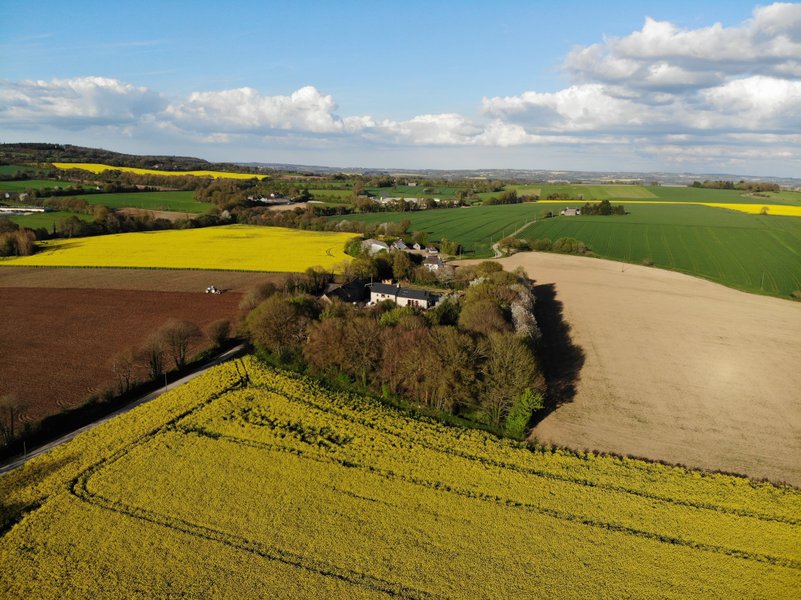 Domaine AbracadaRoom : Jardin Zen du Quistillic - Image 11