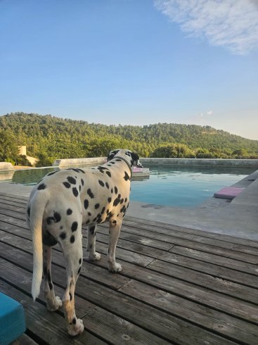 Domaine AbracadaRoom : Domaine Ferme Hi Bride - Image 10