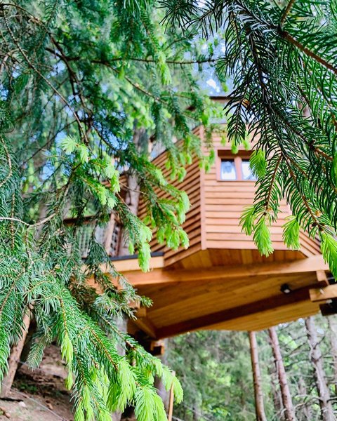 Domaine AbracadaRoom : Cabane dans les Arbres - Valmo'Insolite - Image 1