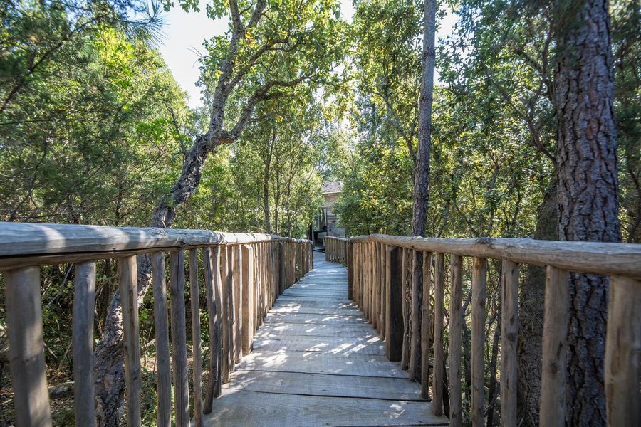 Hébergement AbracadaRoom : Orion, Cabane Casanghjulina - Image 2