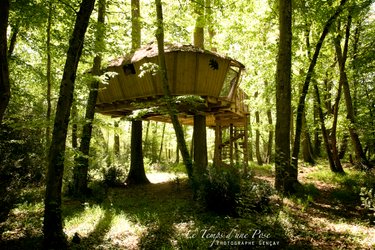 Cabane des Chimpanzés à Magné (1)