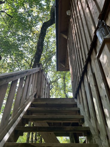 Hébergement AbracadaRoom : Cabane Perchée Jurassic - Image 23