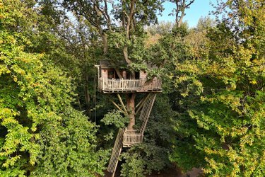 Cabanes Duo dans les Arbres à Raray (4)