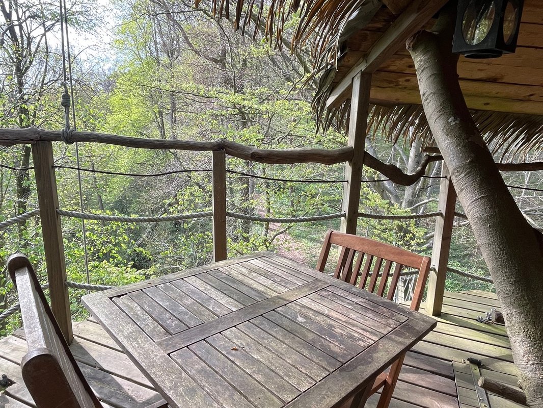 Berceau à St Germain Des Essourts (4)