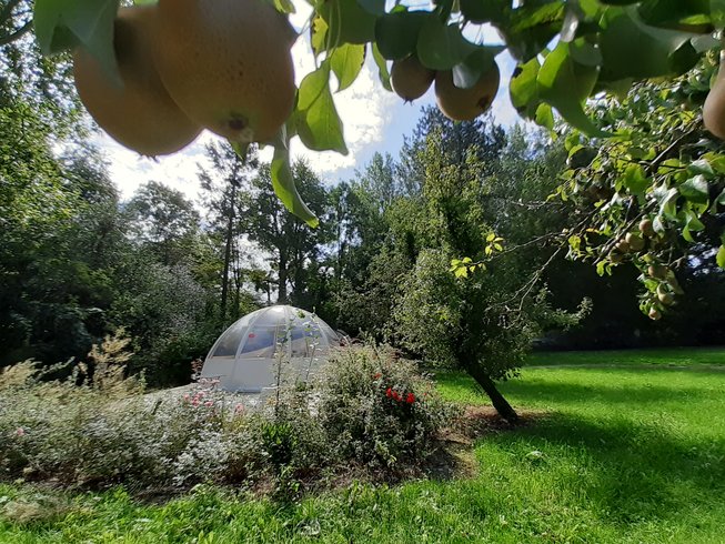 Hébergement AbracadaRoom : Le Wigwam du Clos Cacheleux - Image 3