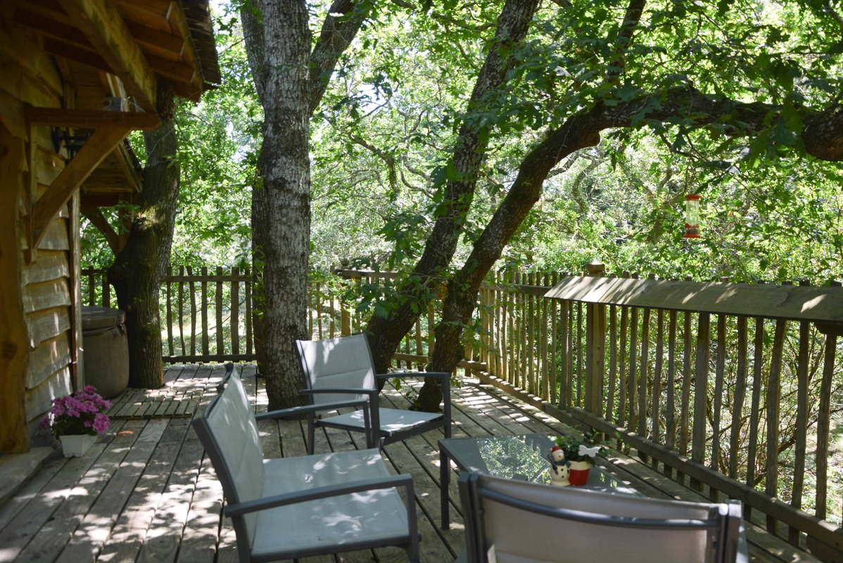 La Cabane Perchée d'Hossegor & Spa à Hossegor (4)