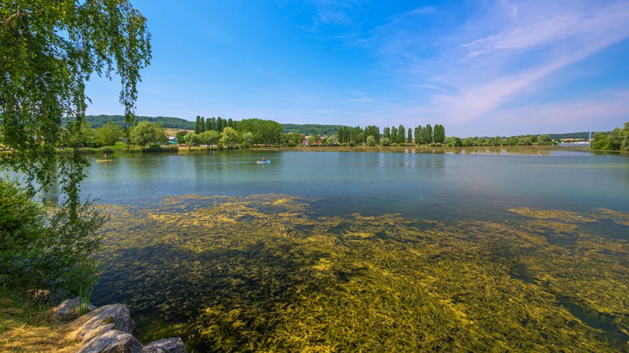 Domaine AbracadaRoom : Seasonova Camping Vesoul - Image 4