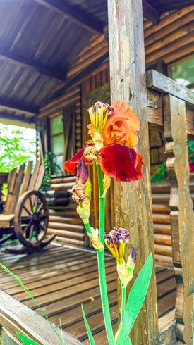 Hébergement AbracadaRoom : Chalet en verre sous une pluie d’étoiles - Image 20