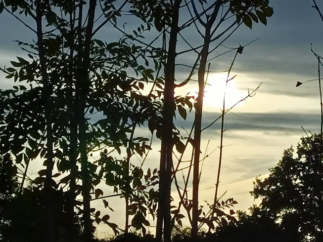 Hébergement AbracadaRoom : Reine des prés - Image 7