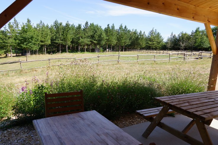 Domaine AbracadaRoom : Domaine du Vigneau - Image 11