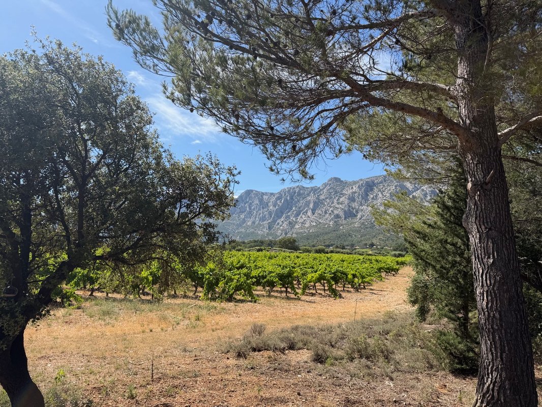 Vue panoramique  sur la Sainte-Victoire et bain nordique à Puyloubier (4)