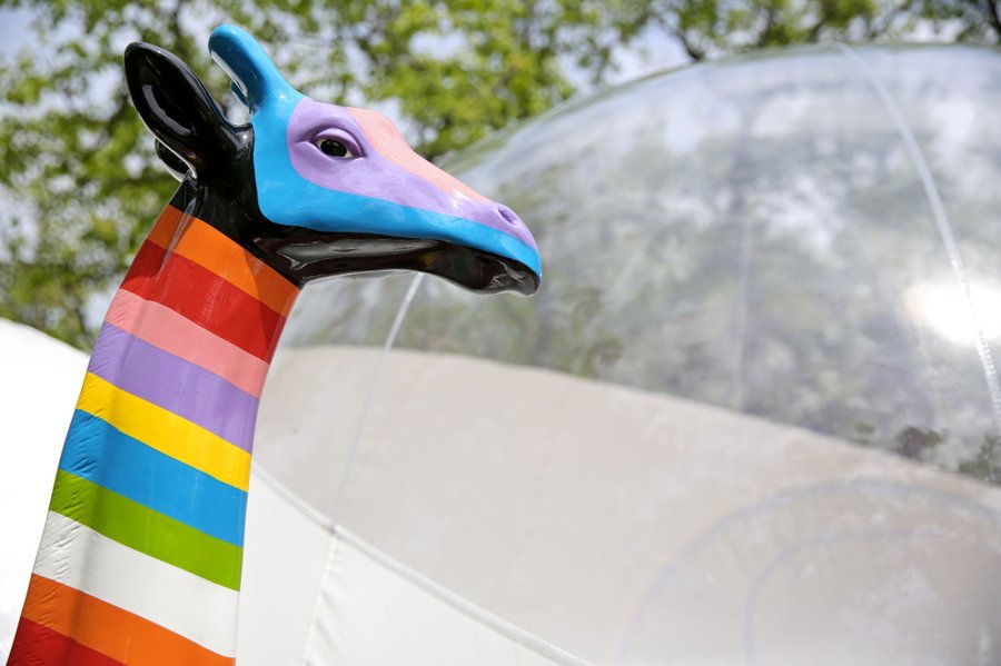 Hébergement AbracadaRoom : Bull'Aphrodite & Spa - Image 12