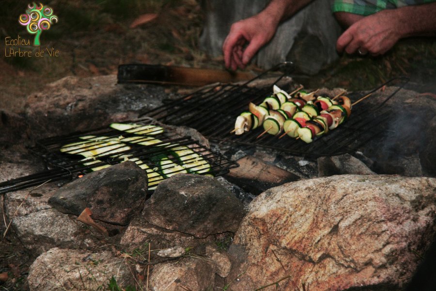 Domaine AbracadaRoom : ECOLIEUX l'Arbre de Vie en Ardèche - Image 27