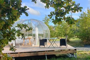 Entre rêves et chêne