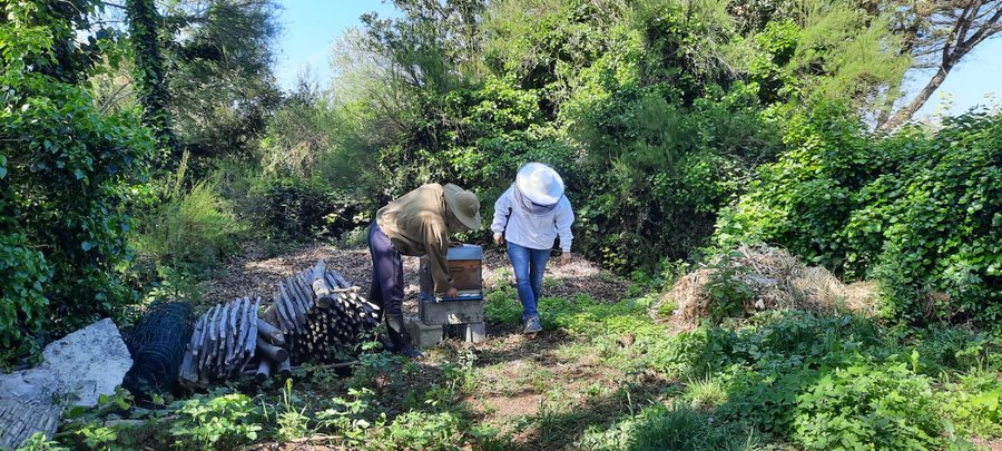 Domaine AbracadaRoom : Seasonova Les Portes en Ré - Image 22