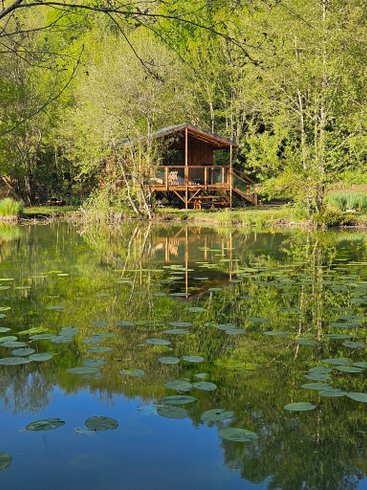 Hébergement AbracadaRoom : Lodge sur pilotis, étang privé, nature et biodiversité à Sarlat - Image 27