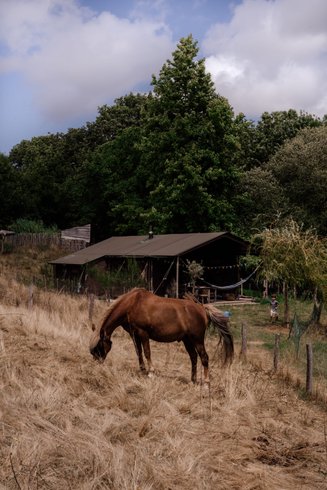 Domaine AbracadaRoom : Un Lit Au Pré - La ferme de la Flocellière - Image 5