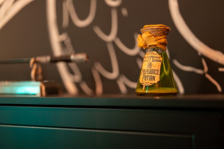 Domaine AbracadaRoom : Maison Wingardium - Image 23