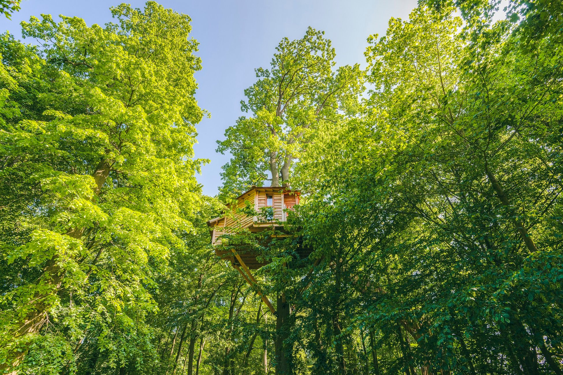 Hébergement UnicStay : Cabane Cime à Raray