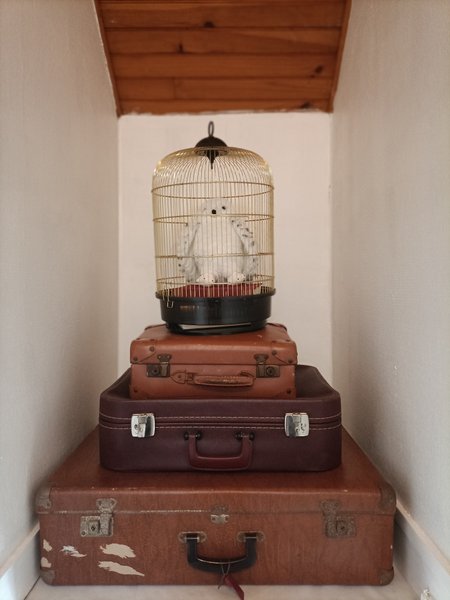 Hébergement AbracadaRoom : Le Chaudron de Loguivy - Image 25