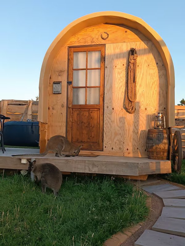 Expérience unique et insolite : Far West & Wallaby à Laperrière Sur Saone (22)
