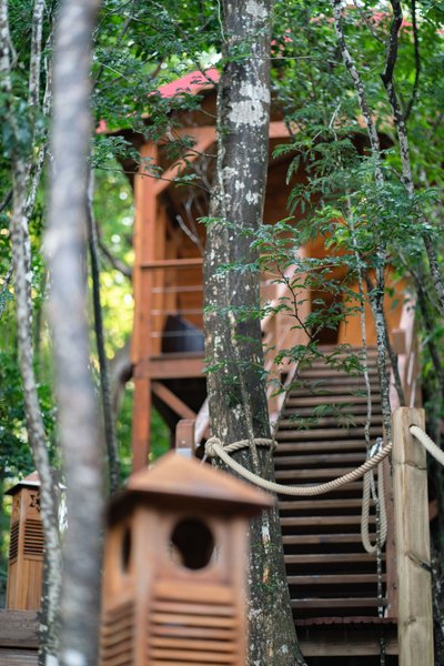 Hébergement AbracadaRoom : Le Nid des Colibris - Image 12