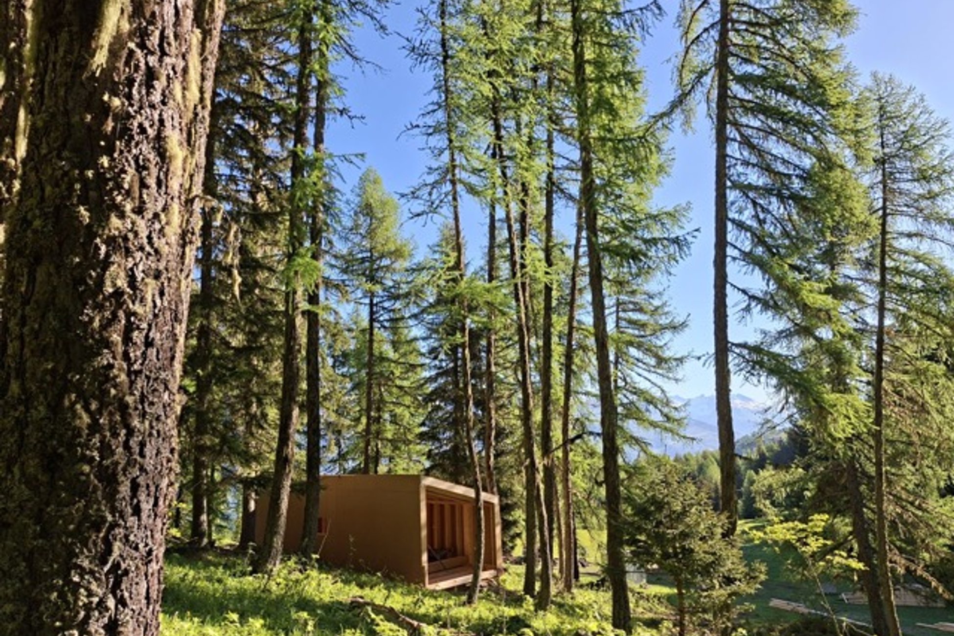 Hébergement UnicStay : Canopée & Sauna à Notre Dame Du Pré