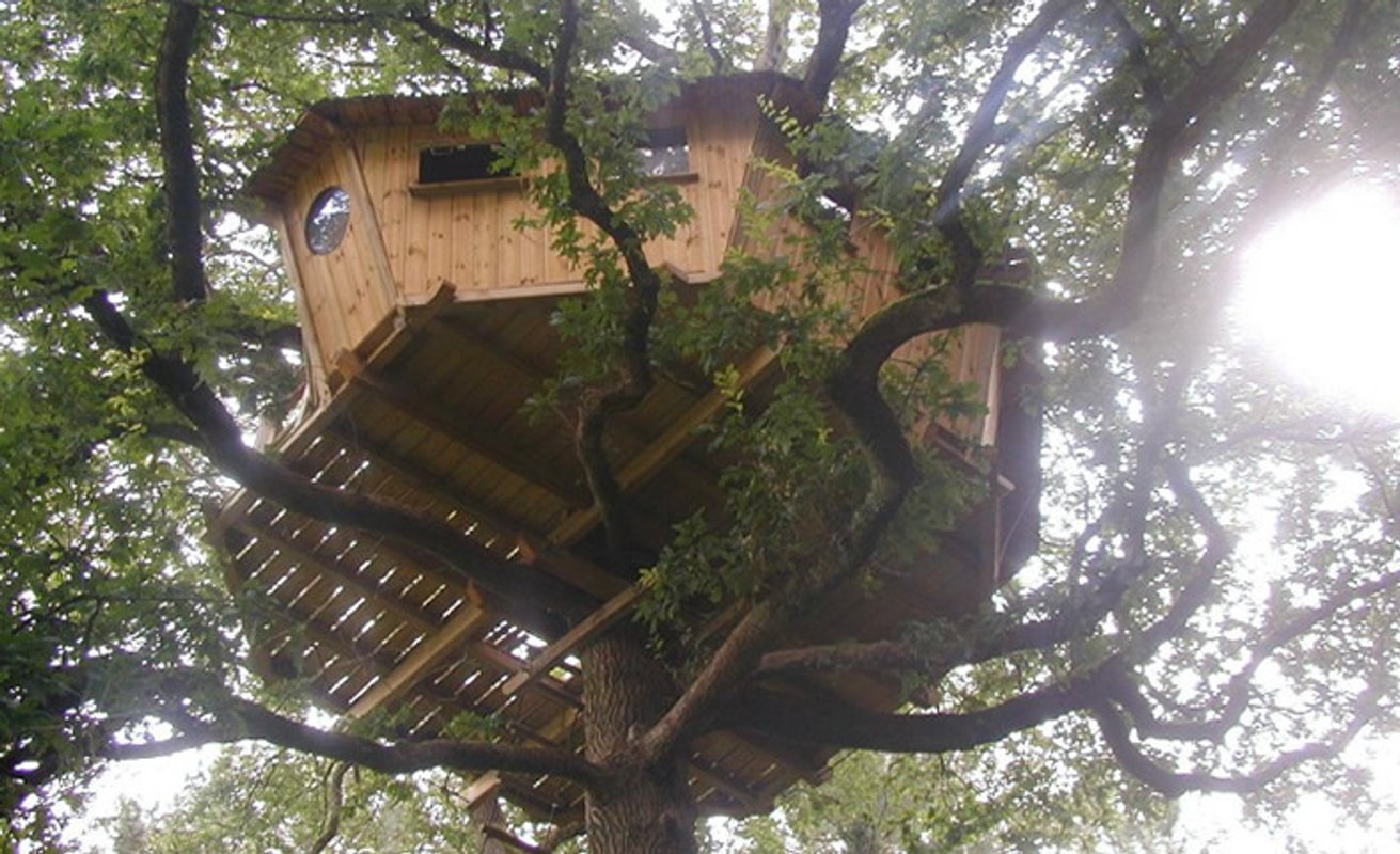 La Cabane perchée Nijal à Ploemel (1)