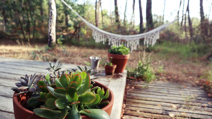 Hébergement AbracadaRoom : Tiny House Boho Océan - Image 20