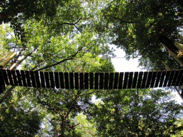 Hébergement AbracadaRoom : Cabane aux fées - Image 3