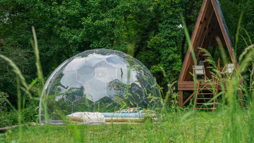 Hébergement AbracadaRoom : Bulle transparente - Royaume des arômes - Image 12