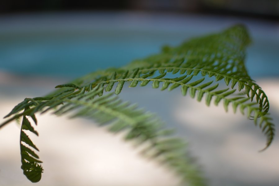 Domaine AbracadaRoom : Lo Rey du Lac - Image 6