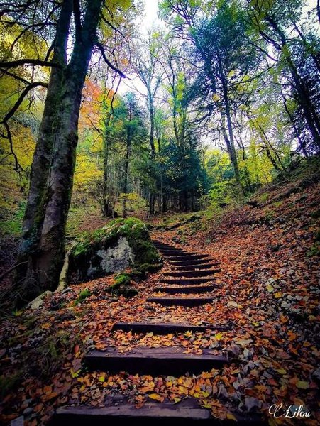 Domaine AbracadaRoom : Les Logettes de Caroline - Image 23