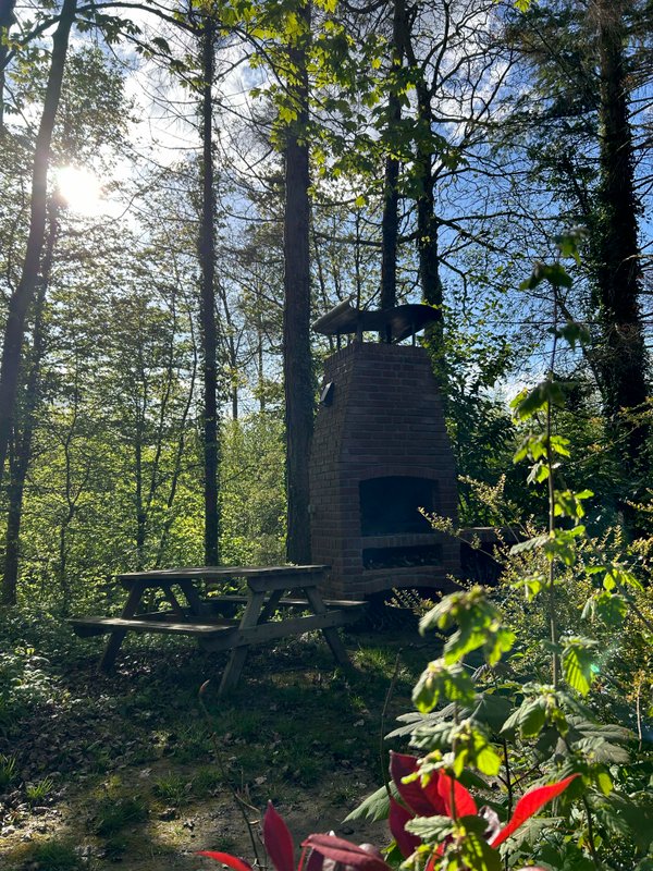 La cabane Haut-Perchée & Spa à Wail (15)