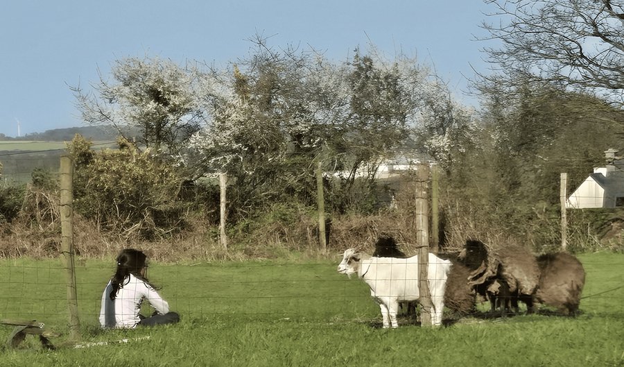 Domaine AbracadaRoom : Les Yourtes de Tréou - Image 5