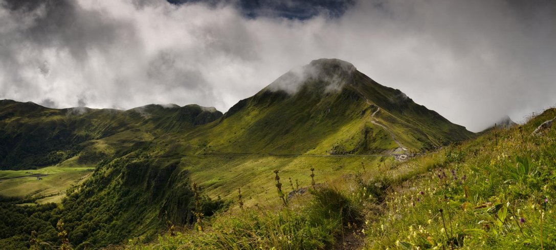 Domaine AbracadaRoom : La Gazelle Perchée - Image 5