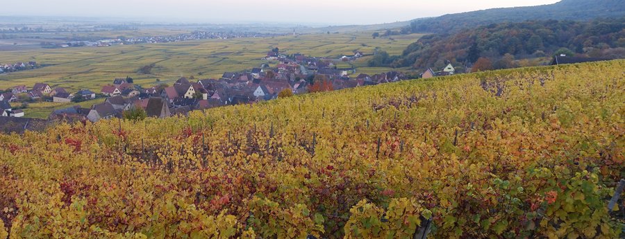 Domaine AbracadaRoom : Auberge Saint-Marc - Image 8