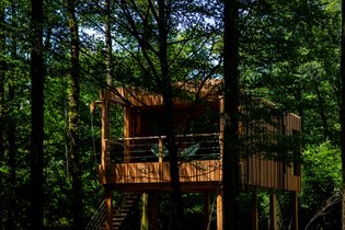 Suite « Ride my Bike » & Spa