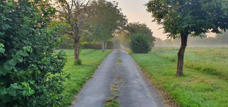 Domaine AbracadaRoom : Gite La Petite Clavelie - Image 9