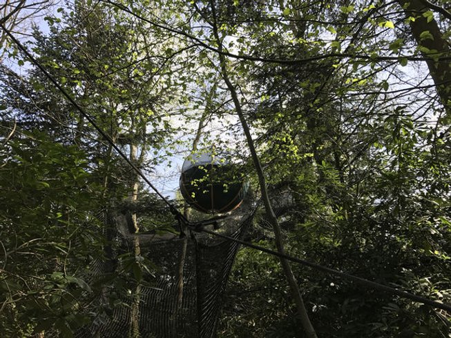 Hébergement AbracadaRoom : Bulle suspendue dans les arbres Jupiter - Image 4