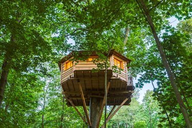 Cabane Secrète à Raray (1)