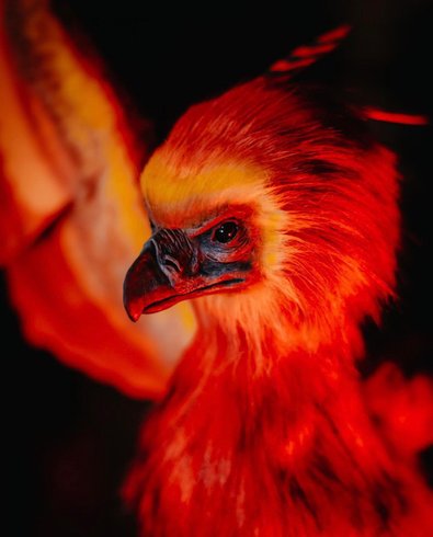 Hébergement AbracadaRoom : Appartement du sorcier Immersif et mémorable & Parking - Image 2