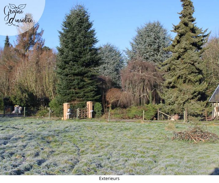 Hébergement AbracadaRoom : La Tiny Graine d'insolite - Image 17