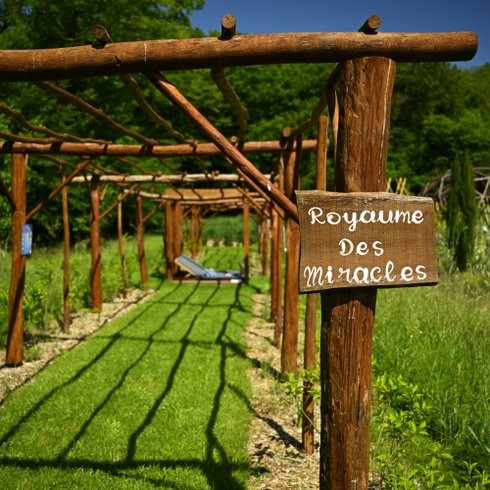 Domaine AbracadaRoom : Ô Pays des bois - Image 15