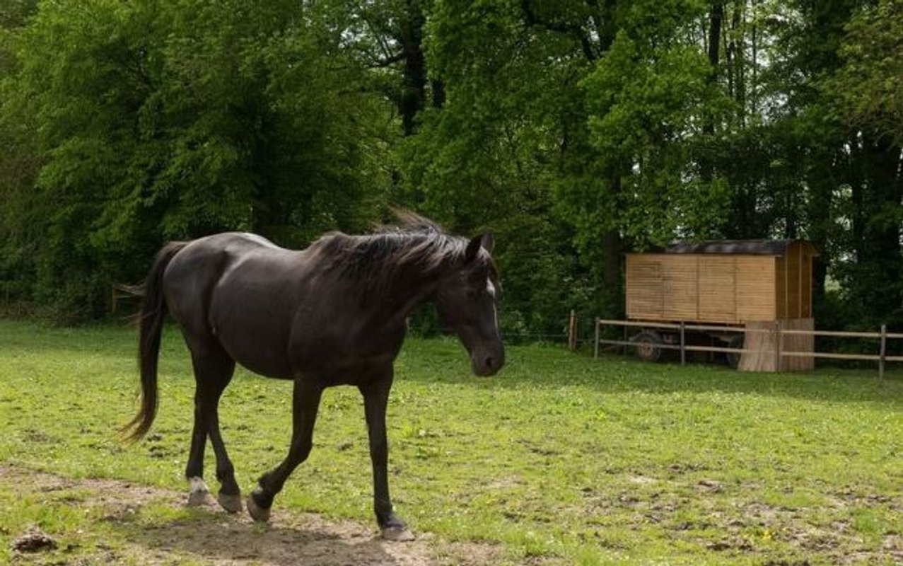 La roulotte "Dentelles et enchantements" à Reumont (5)