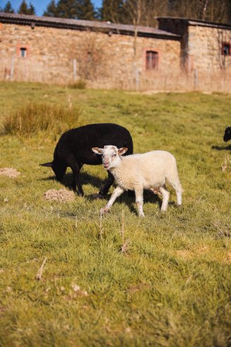 Hébergement AbracadaRoom : Parcel Tiny House - à 1h de Lyon - Image 7